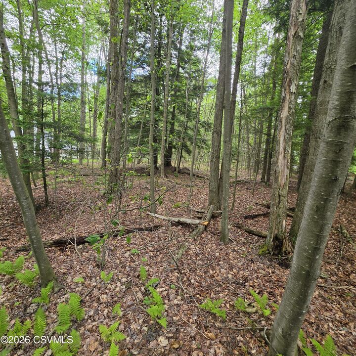 Property Photo:  Lot 21 Nordmont Road  PA 17758 