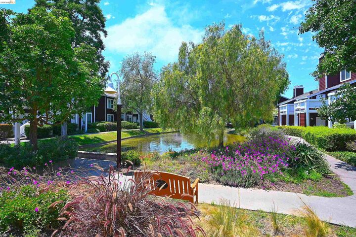Property Photo: 58 Marina Lakes Dr CA 94804