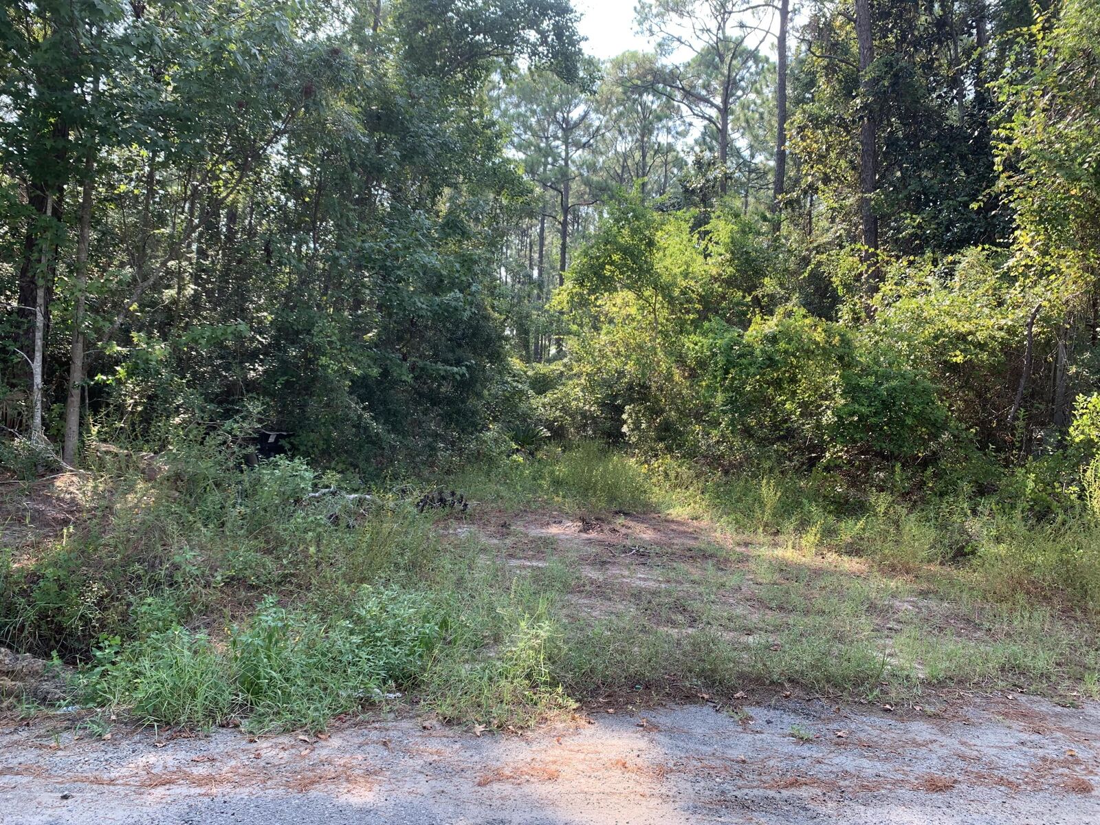 Property Photo: 85 Central 7th Street FL 32459