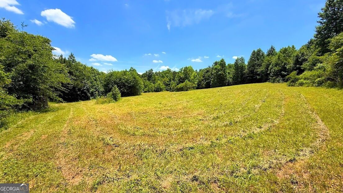 Property Photo:  0 Nix Road  GA 30110 