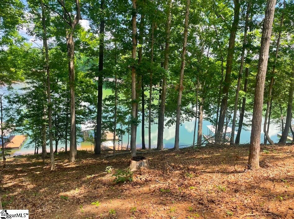 Property Photo: 00 Sweet Gum Drive Lot 28 SC 29693