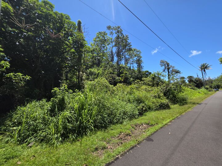 Property Photo: Kumu St HI 96778