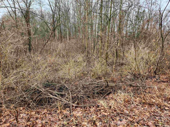 Property Photo:  Tbd E Koher Rd  Lot #11  IN 46567 