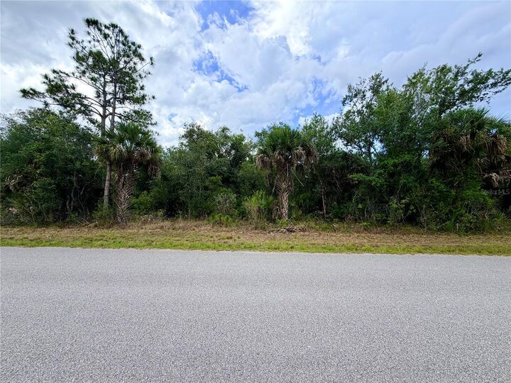 Property Photo:  13334 Gold Avenue  FL 33953 