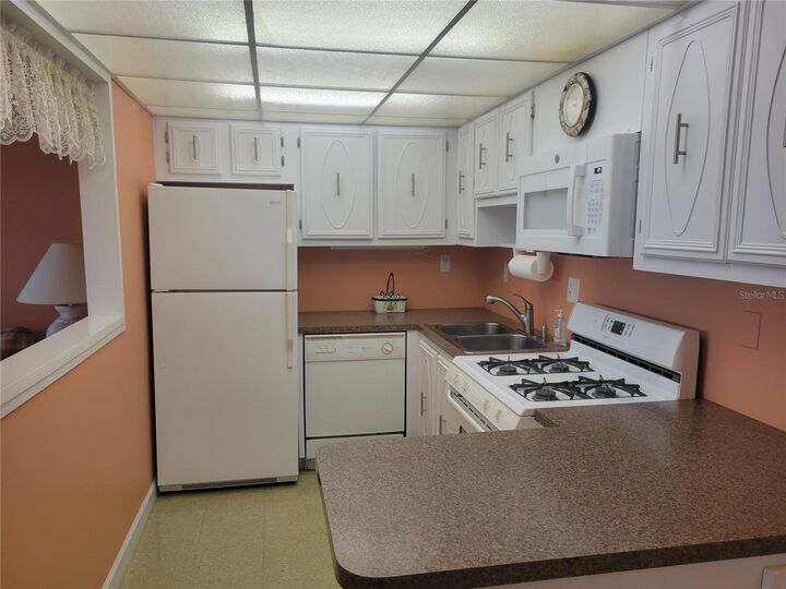 Property Photo:  9950 62nd Terrace N 417  FL 33708 