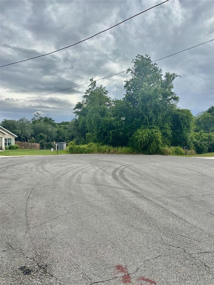 Property Photo: 0 Olive Place FL 34472