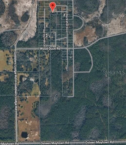 Property Photo:  574 Thistle Hill Drive  FL 32764 