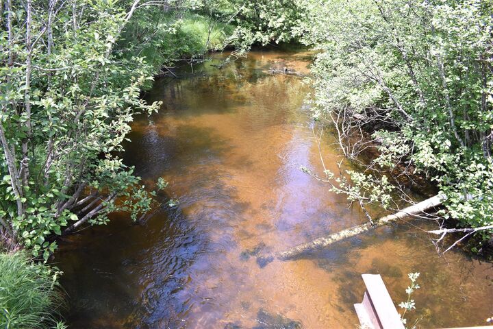 Property Photo:  000 S Queens Highway  MI 49623 