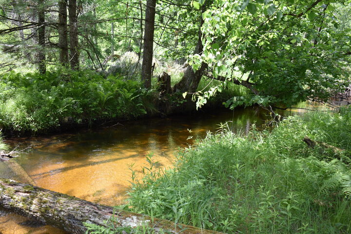 Property Photo: 5199 E Marquette Trail MI 49623