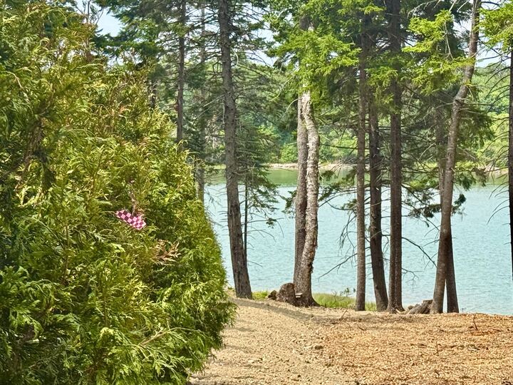 Property Photo: 93 Goods Point Road Lot #2 ME 04680