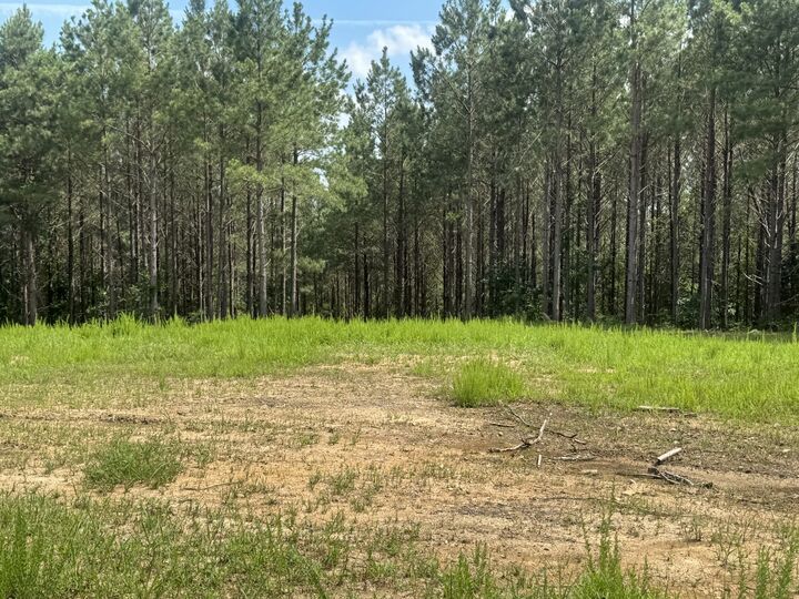 Property Photo: 0 Rustic Pines Rd TN 37058