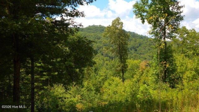Property Photo:  Lot 16 Tyler Ridge  NC 28906 