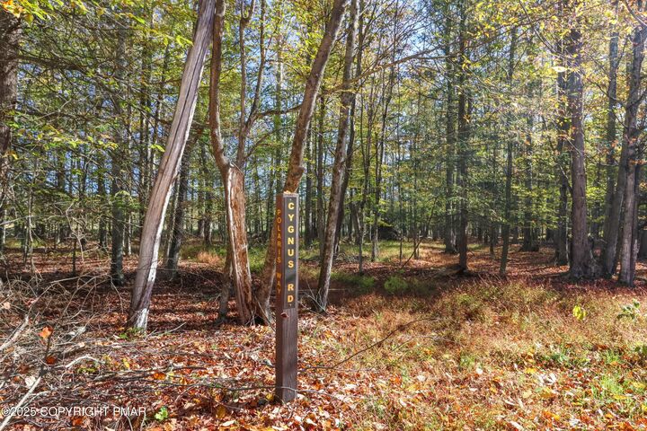 Property Photo:  Cygnus Road  PA 18436 