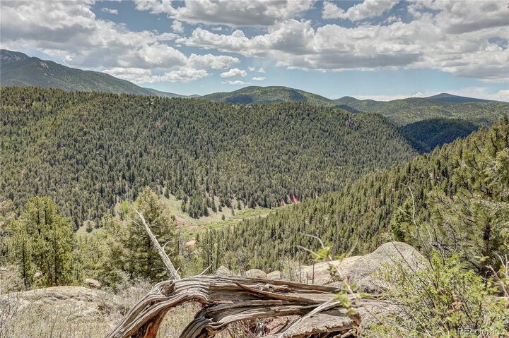 Property Photo:  59 Robin Point  CO 80814 