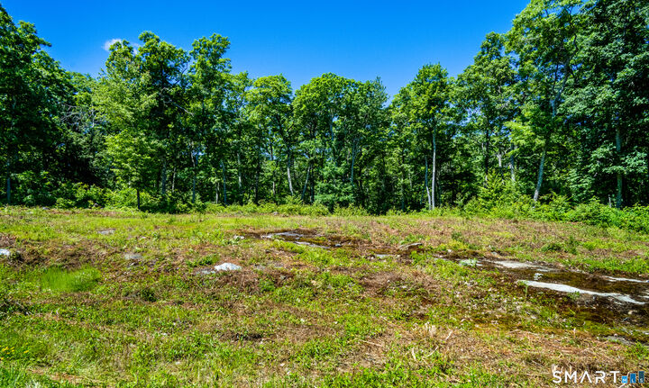 Property Photo:  Westwoods Road #2  CT 06069 