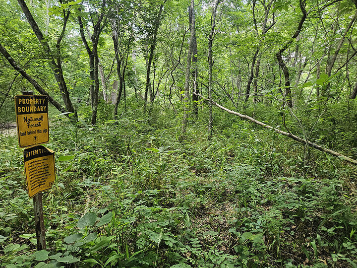 Property Photo: 00 Forest Road 7989 MO 65552