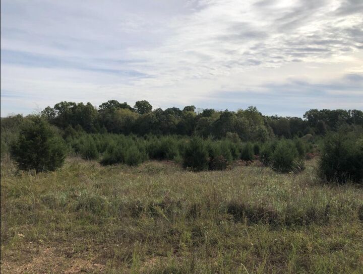 Property Photo:  000 Clear Springs Trail  MO 65783 