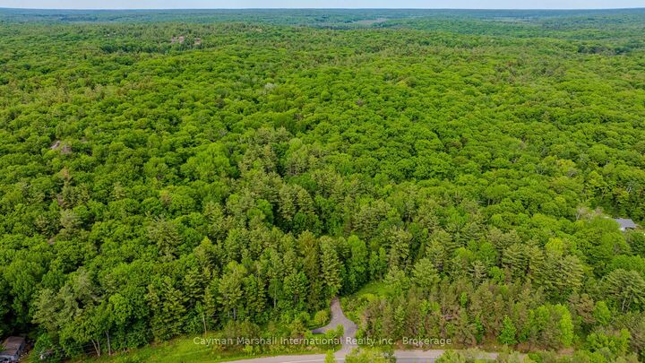 Property Photo:  2682 Muskoka District 118 Road W  ON P0B 1J0 