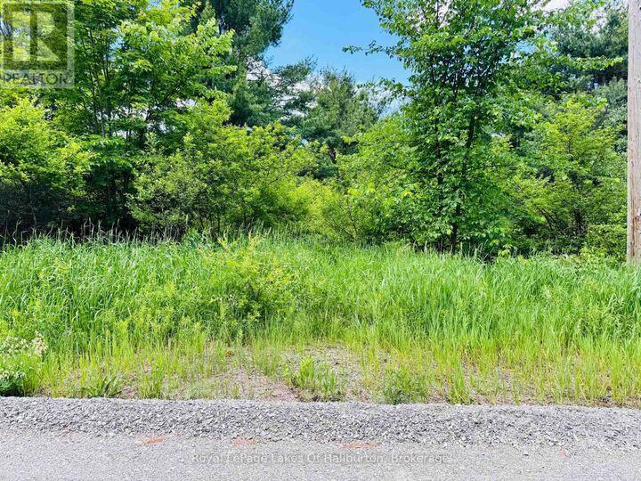 Property Photo:  N/A County Road 121  ON K0M 2A0 