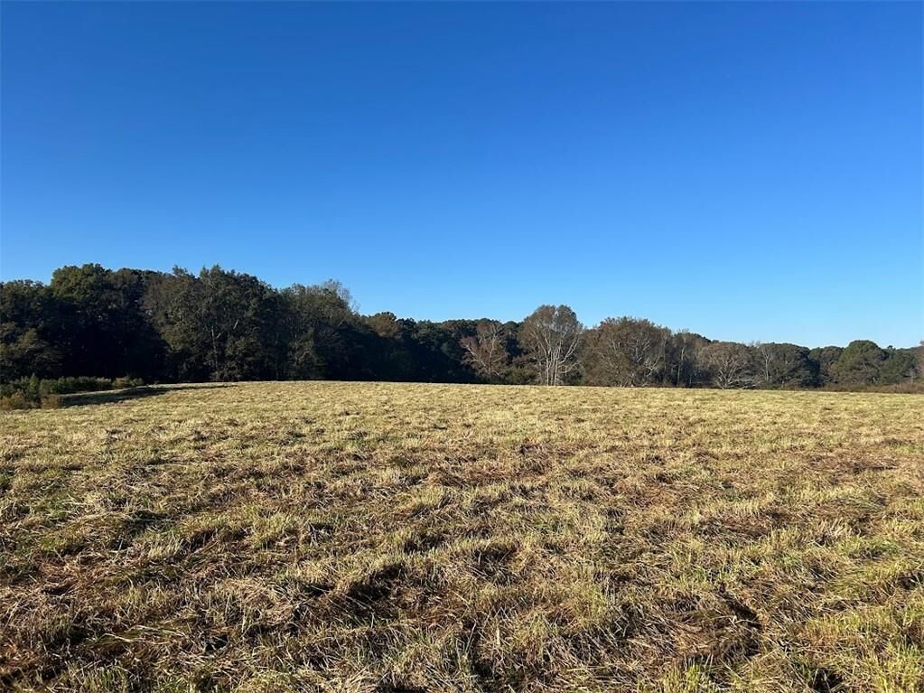 Property Photo:  0 Old Columbus Road  GA 30108 