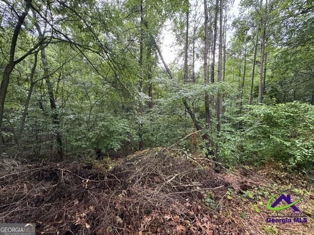Property Photo:  176 Waters Pointe  GA 31052 