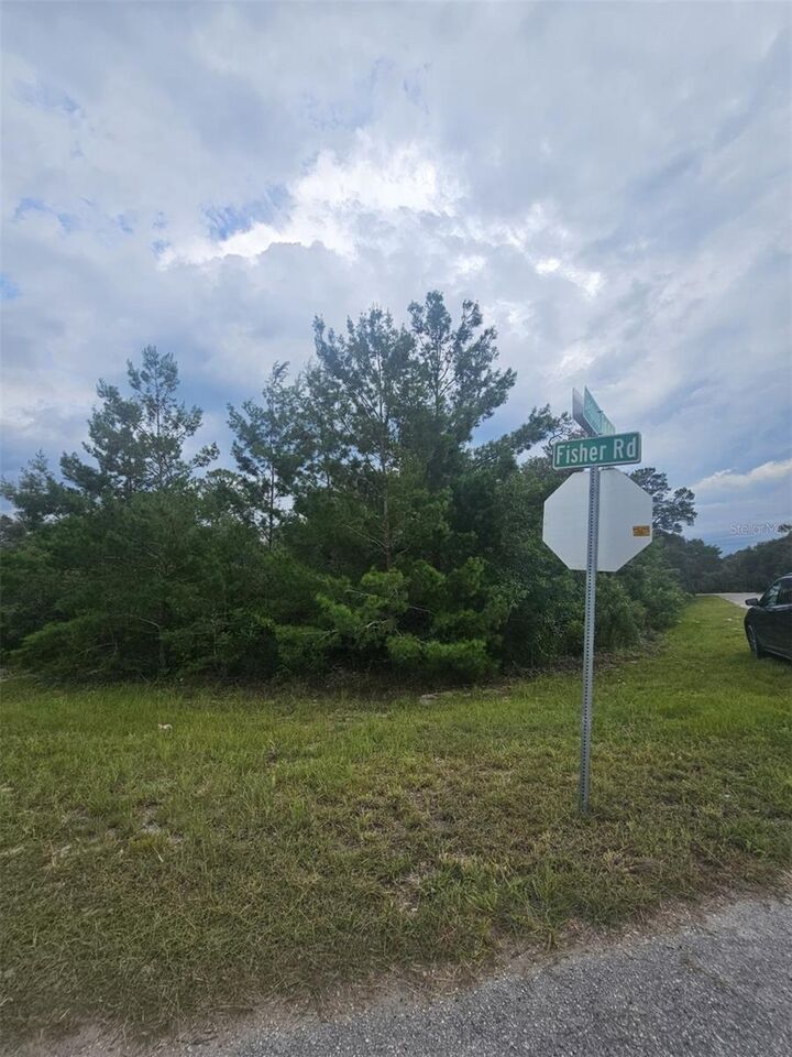 Property Photo:  0 Fisher Road  FL 32179 