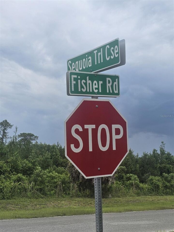 Property Photo: Lot 1 Fisher Road FL 32179