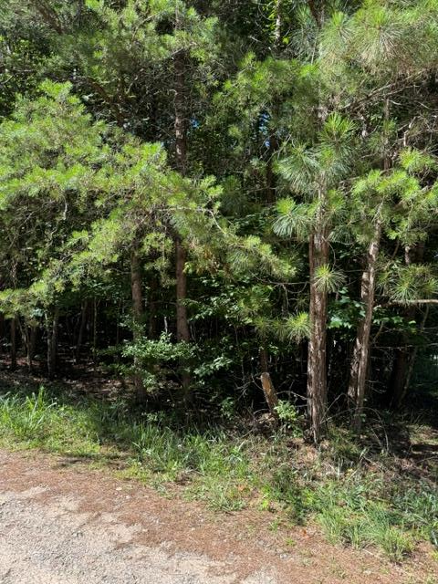Property Photo: 0 Southern Pines Drive GA 30540