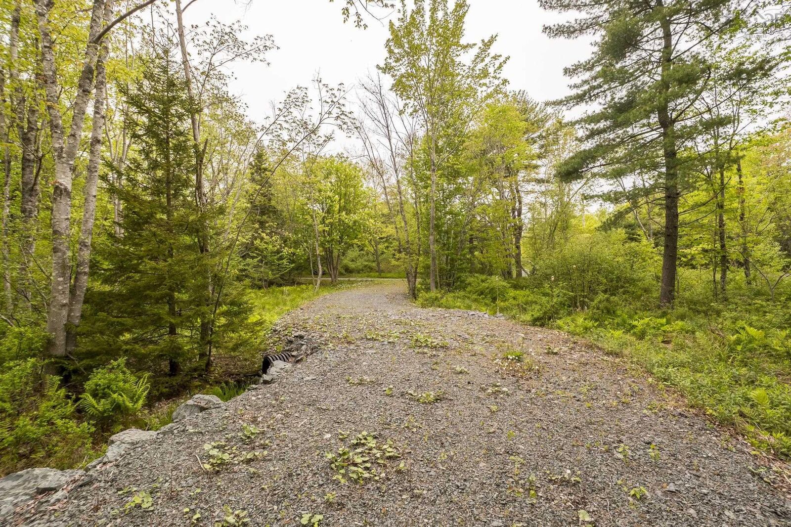 Property Photo:  13 Cottage Lane  NS B2T 1G7 