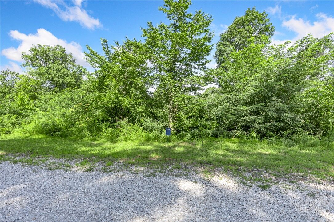 Property Photo:  Lot 31 Peaceful Place  AR 72601 