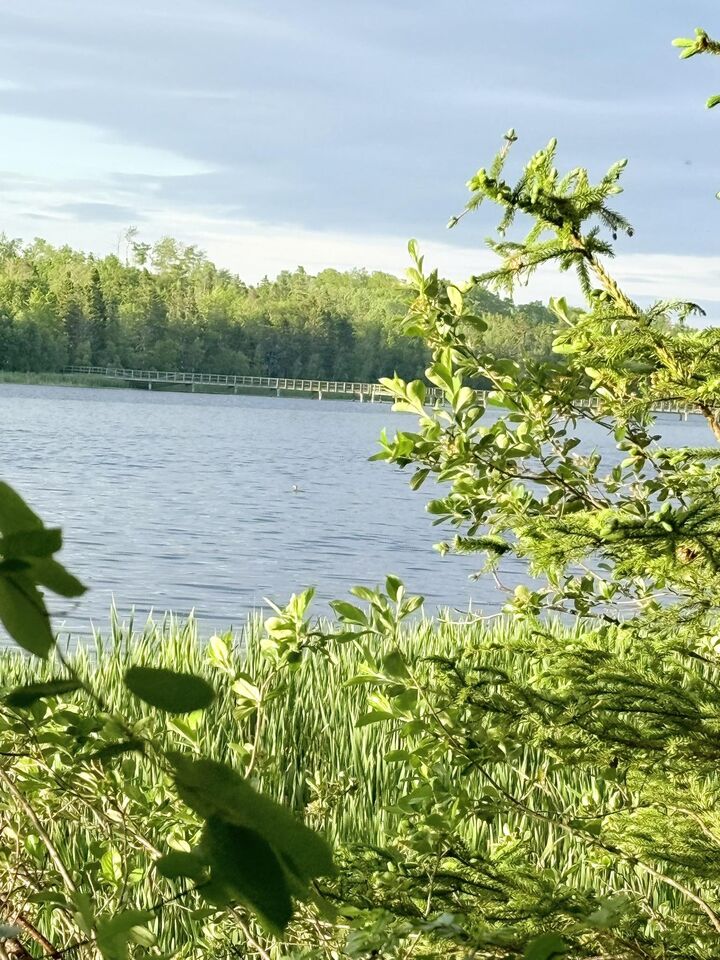 Property Photo:  5 Acres Floating Bridge Road  PE C0A 1W0 