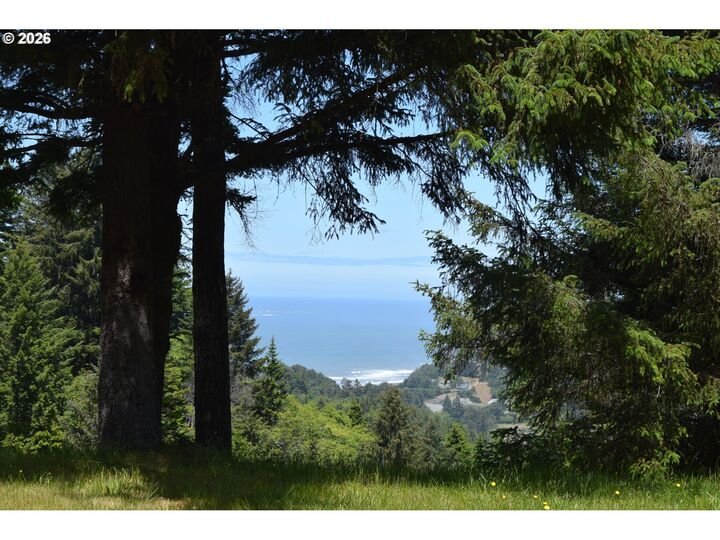 Property Photo:  27961 Thimbleberry Rd  OR 97444 
