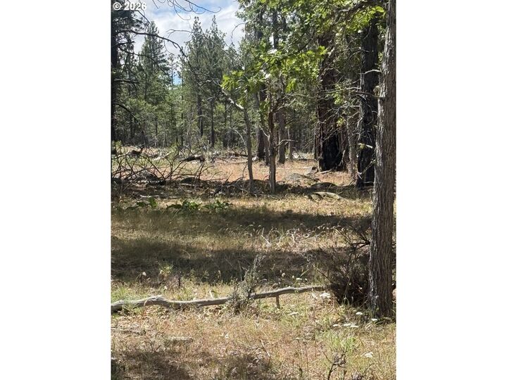 Property Photo: Old Stage Rd WA 98620