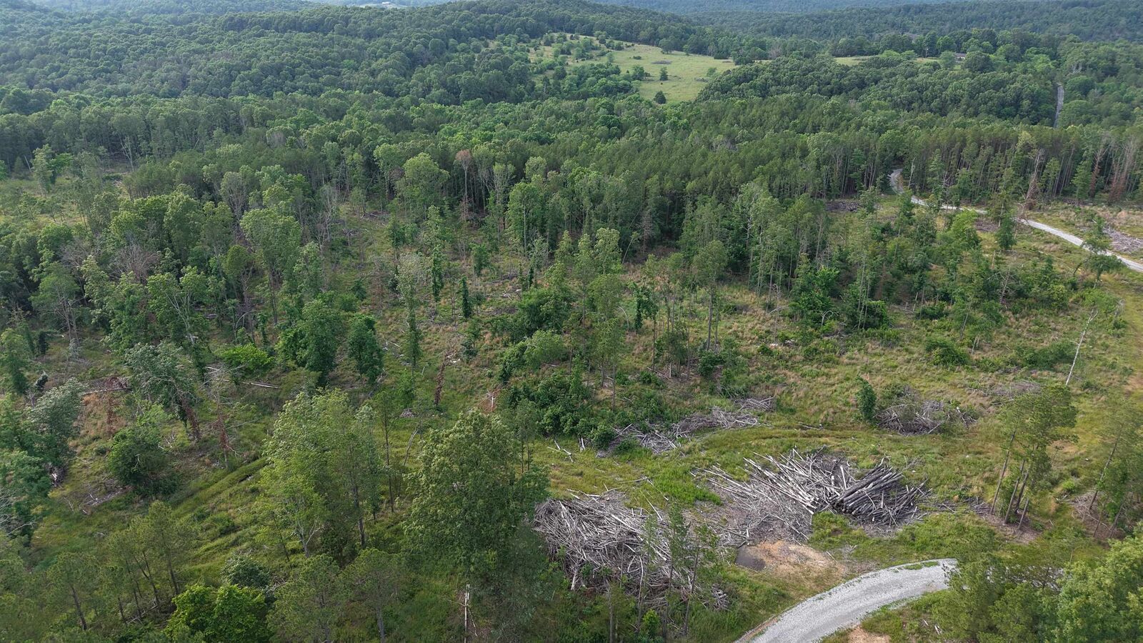 Property Photo:  26A Kerley Point Road  AR 72531 