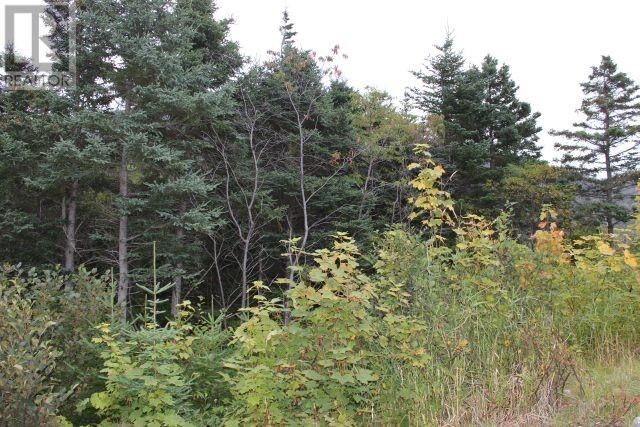 Property Photo:  235-241 Beachy Cove Road  NL A1M 1Z4 