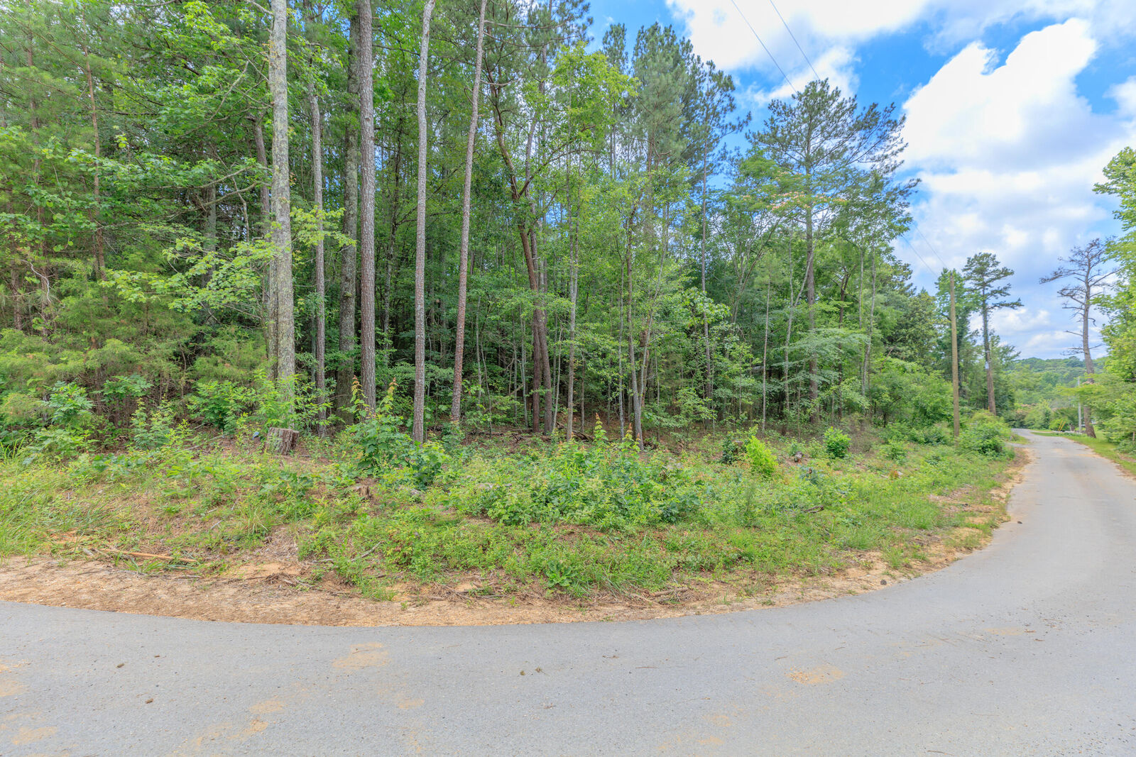 Property Photo: 0 Wallaceville Cemetery Road GA 30707