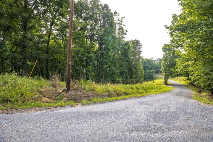 Property Photo: Lot 165 Maple Drive TN 37381