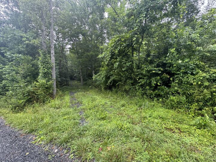 Property Photo:  0 Bacon Falls Road  WV 24981 