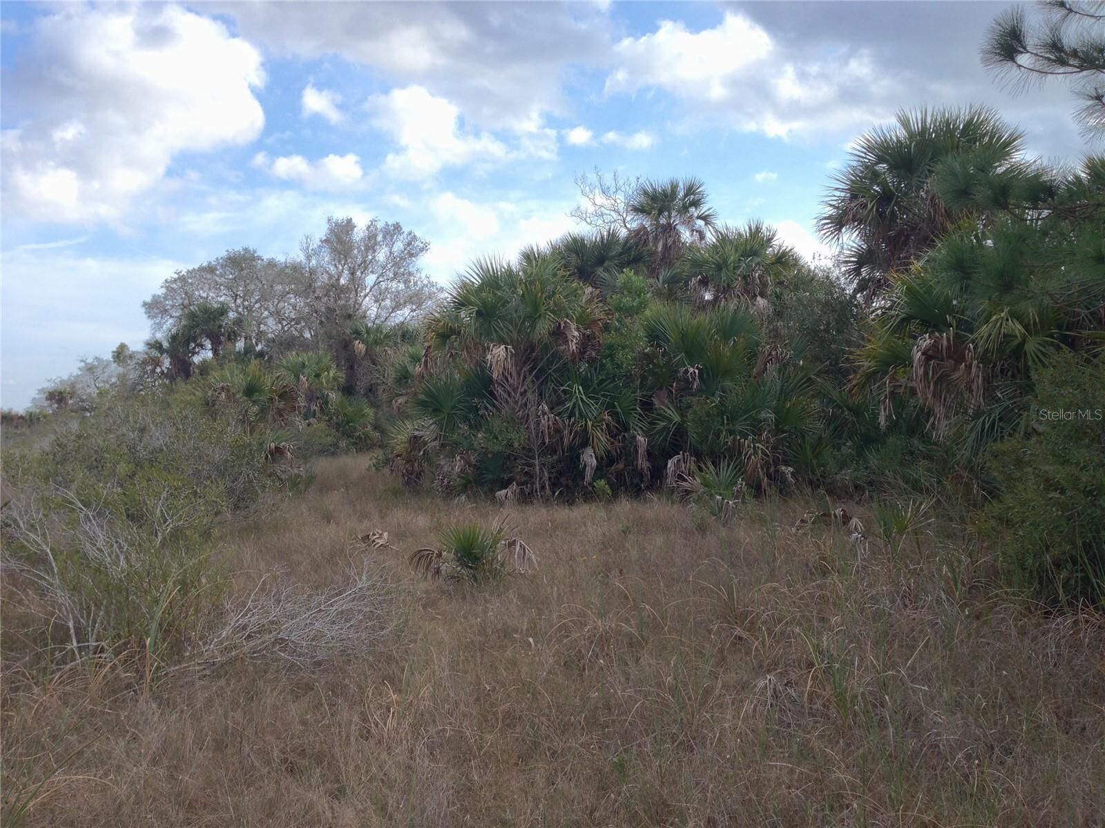 Property Photo:  50670 Bermont Road  FL 33982 
