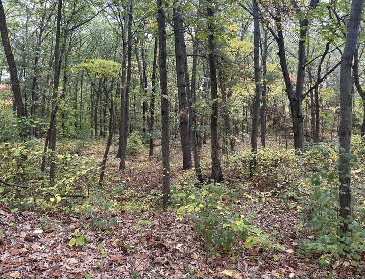Property Photo: 4051 Highview Path MI 49038