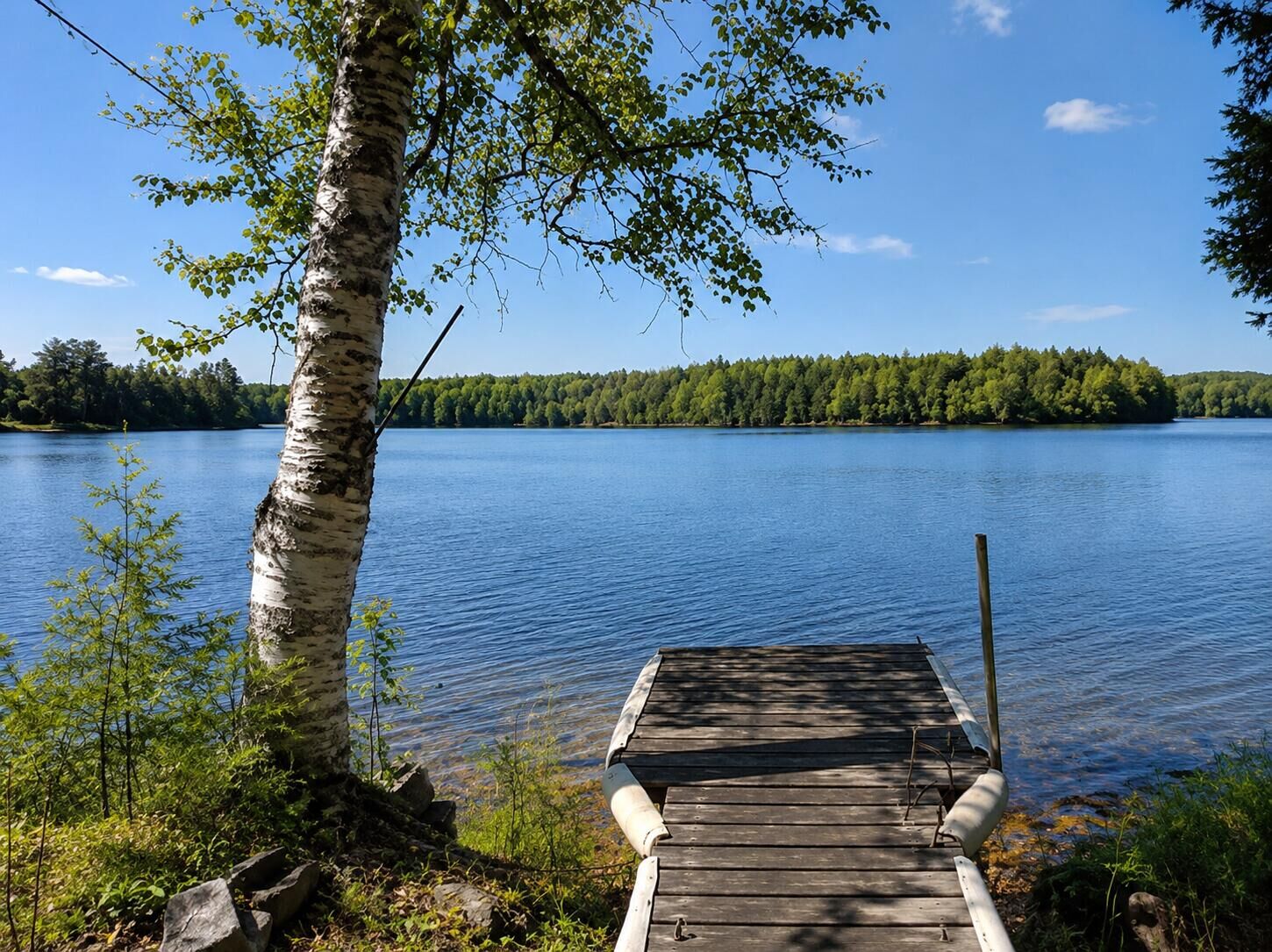Property Photo:  799 Upper Dobsis Road  ME 04487 