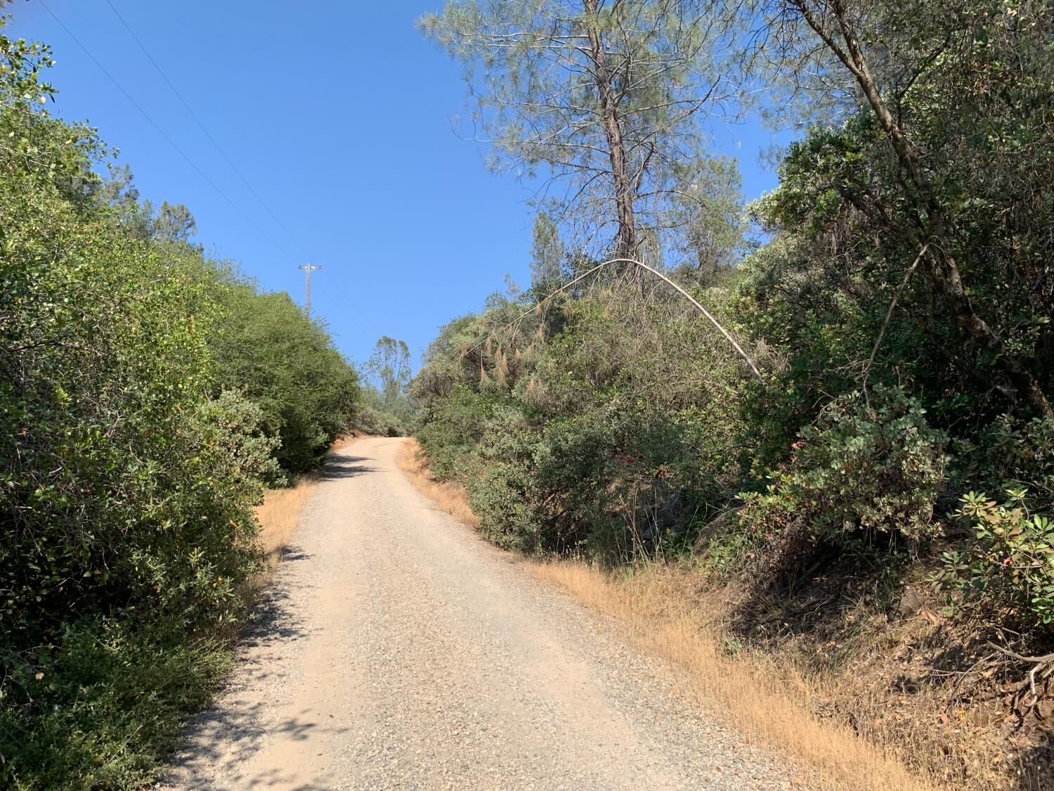 Property Photo: 13079 Hallwood Place CA 95949