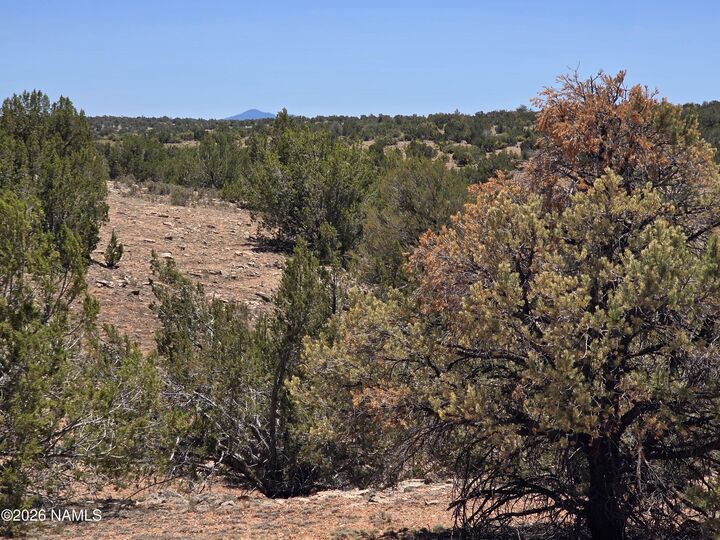 Property Photo:  9966 Northstar Road  AZ 86046 