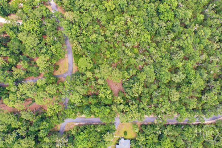 Property Photo:  Lot 67 NE Delegal Drive  GA 31331 
