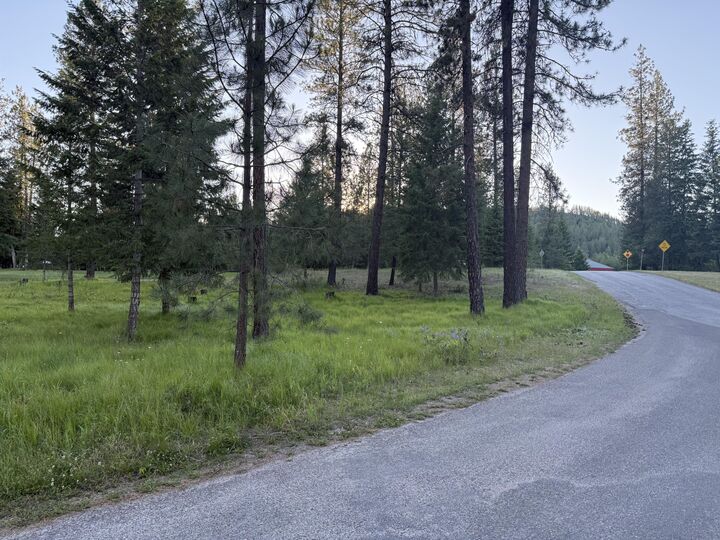 Property Photo: 195 E Trappers Loop WA 99109