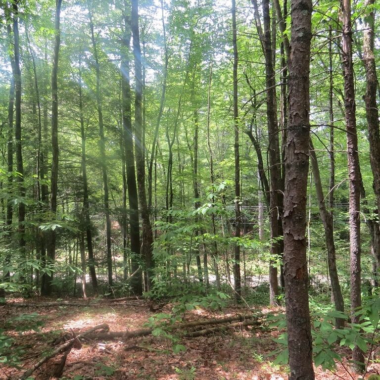 Property Photo:  Lot 1 Pratt Corner Road  MA 01054 