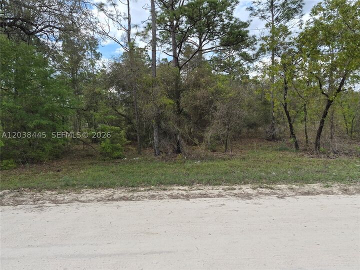Property Photo: 00 NE 4 St FL 32696