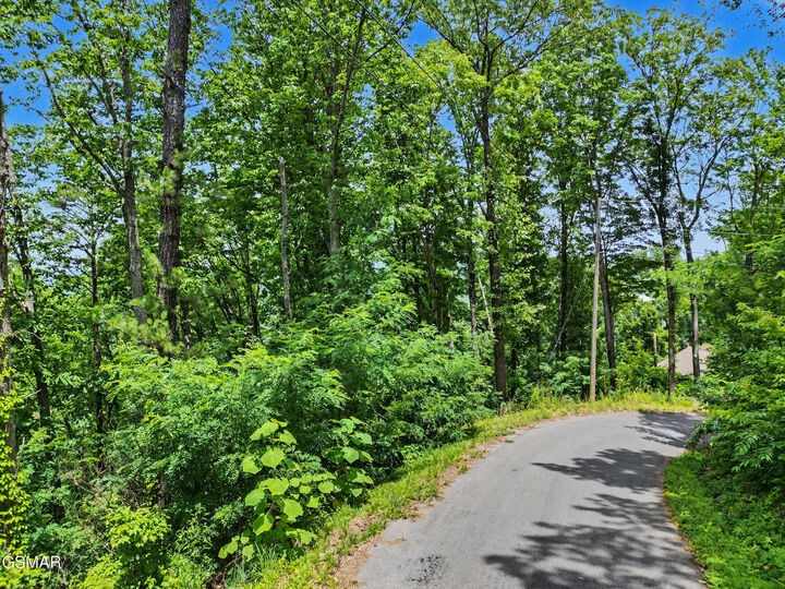 Property Photo:  Lot 571 Village Loop Road  TN 37738 