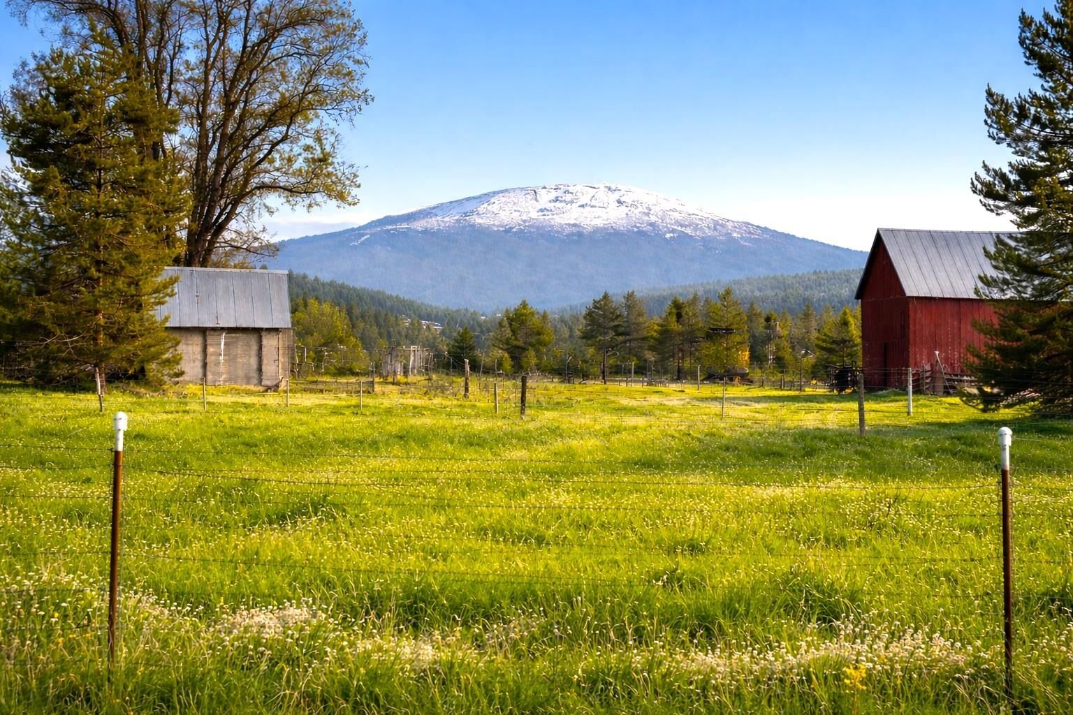 Property Photo: 46xx Bittrich-Antler Rd WA 99006