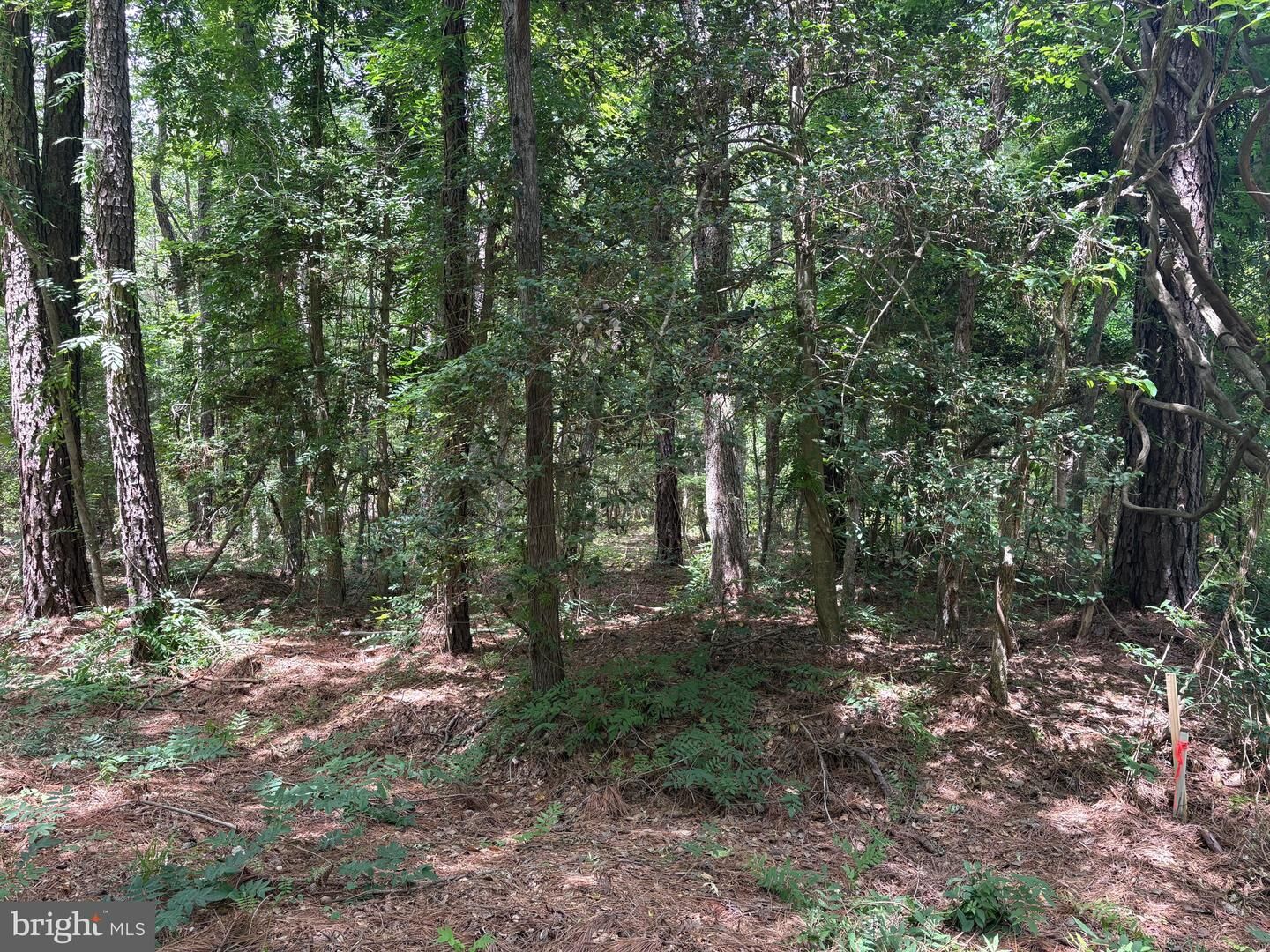 Property Photo:  Lot 27 Stotsylvania Road  VA 22469 